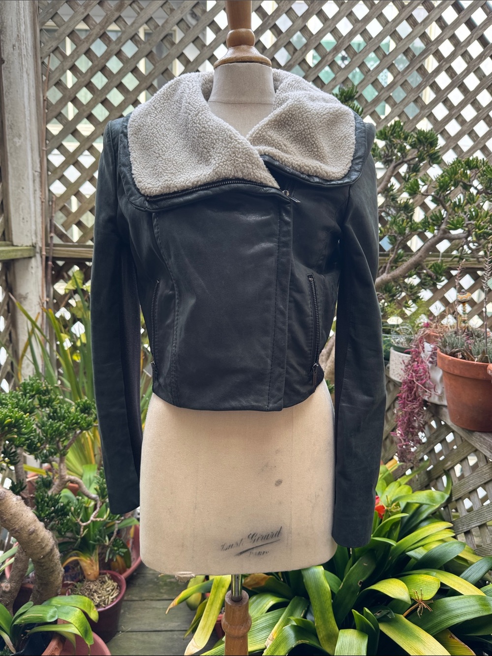 BCBG MaxAzria Dark Green/Black Leather Moto Jacket W/Sherpa Collar. Size M VGUC